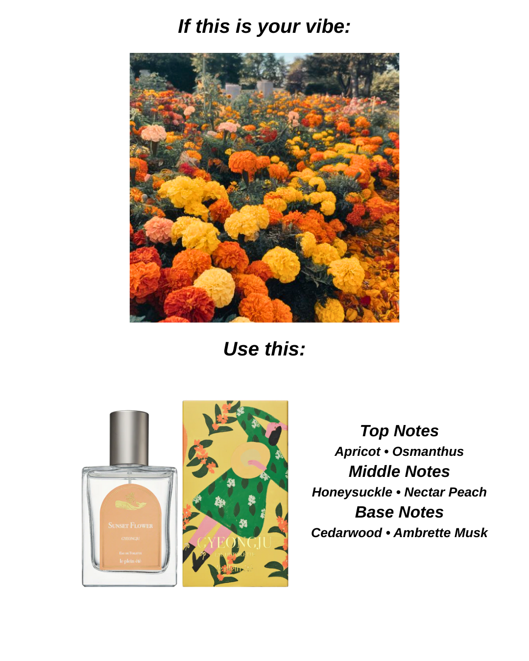 50ml 10ml Perfume Bundle EDT