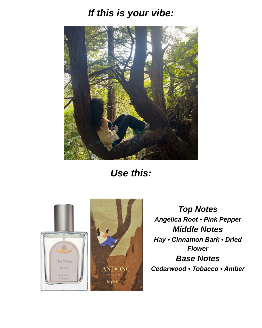 50ml 10ml Perfume Bundle EDT