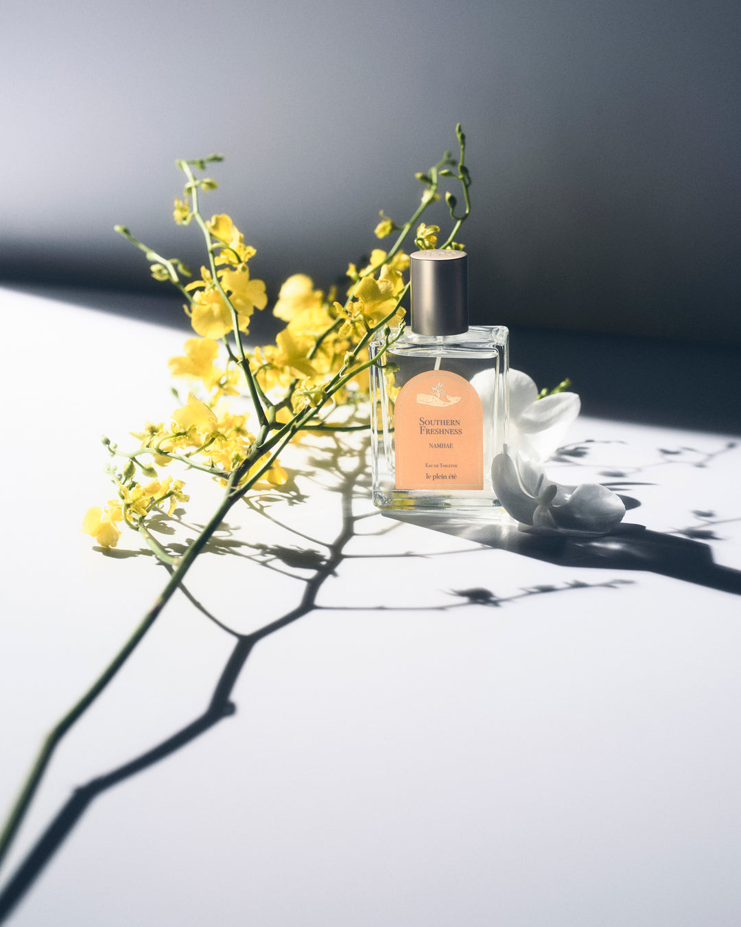 3x Perfume Bundle 50ml EDT
