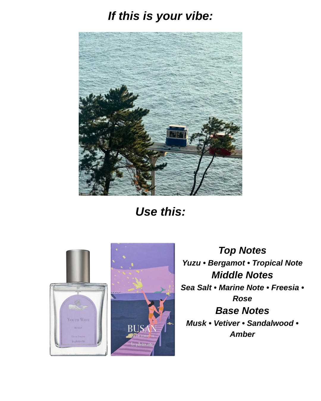 50ml 10ml Perfume Bundle EDT