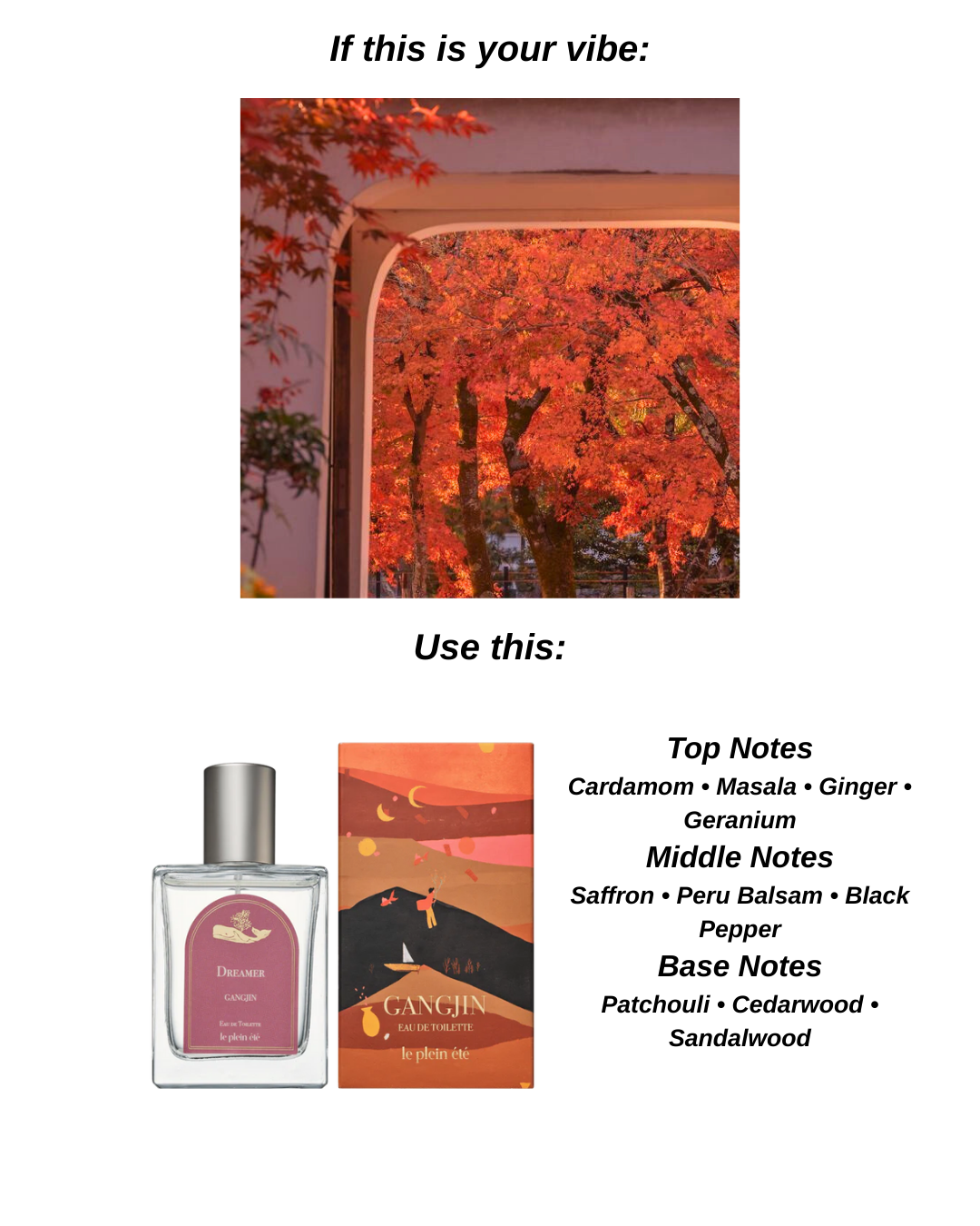 50ml 10ml Perfume Bundle EDT