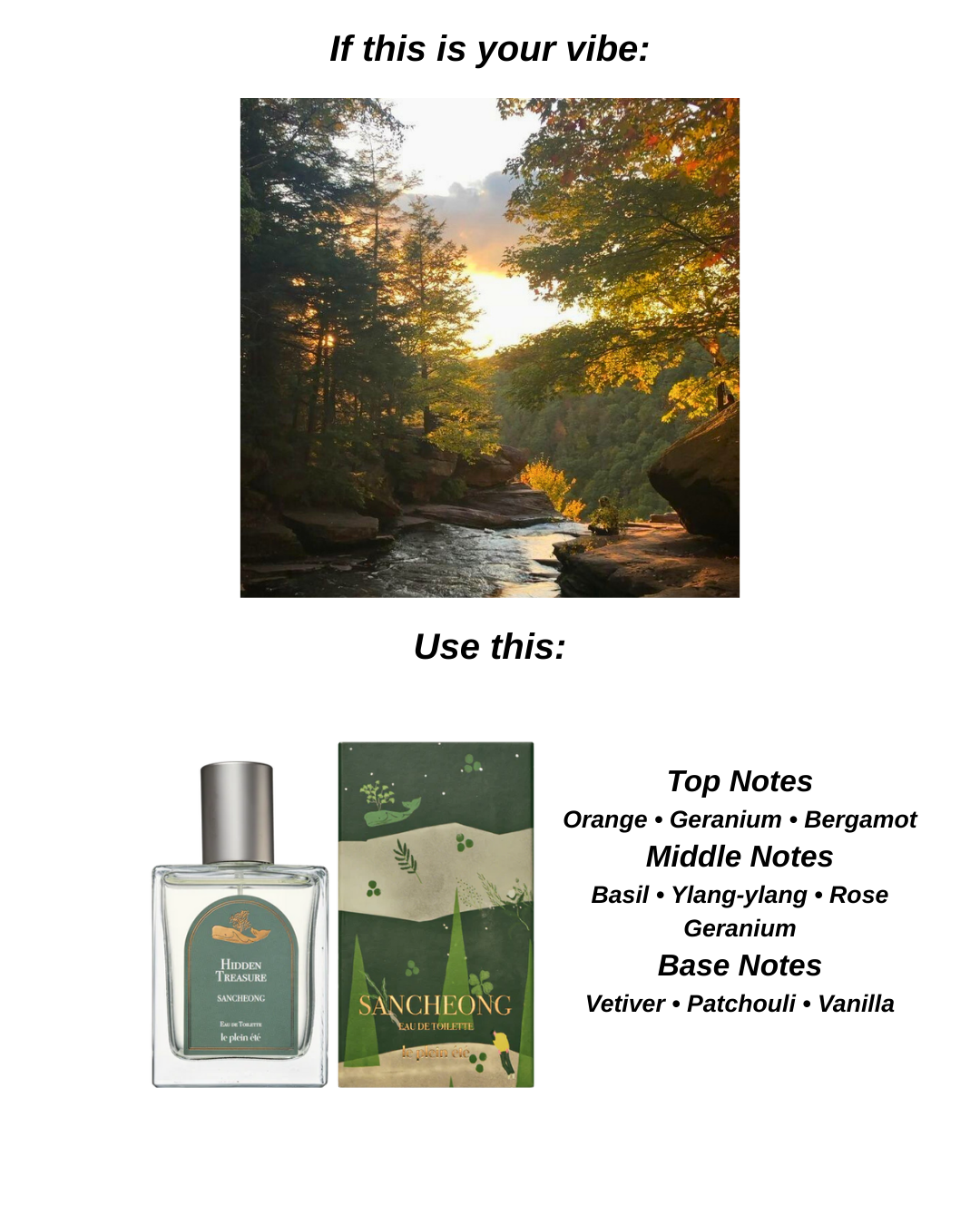 50ml 10ml Perfume Bundle EDT