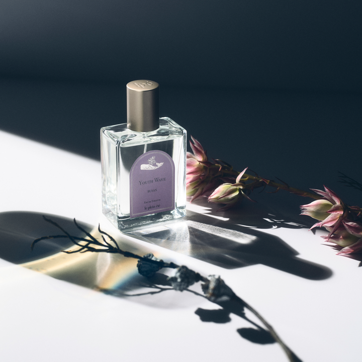 3x Perfume Bundle 50ml EDT