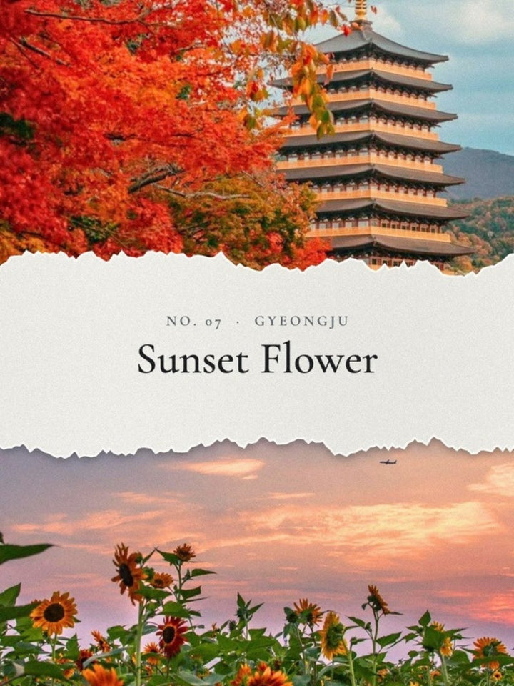 Sunset Flowerの街並み