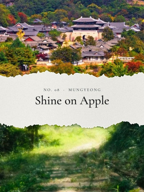 聞慶, Shine on Apple