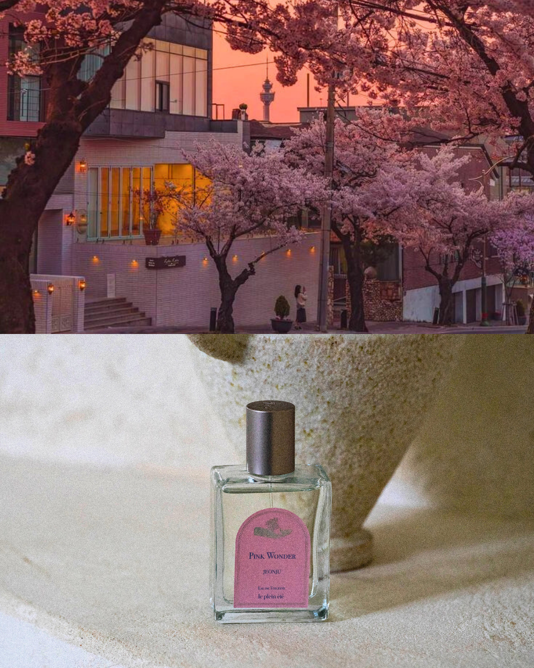 【le plein ete】全州 ; Pink Wonder EDT 50ml [BTS J-HOPE] Jeonju - Pink Wonder 50ml EDT – le plein été Hong Kong